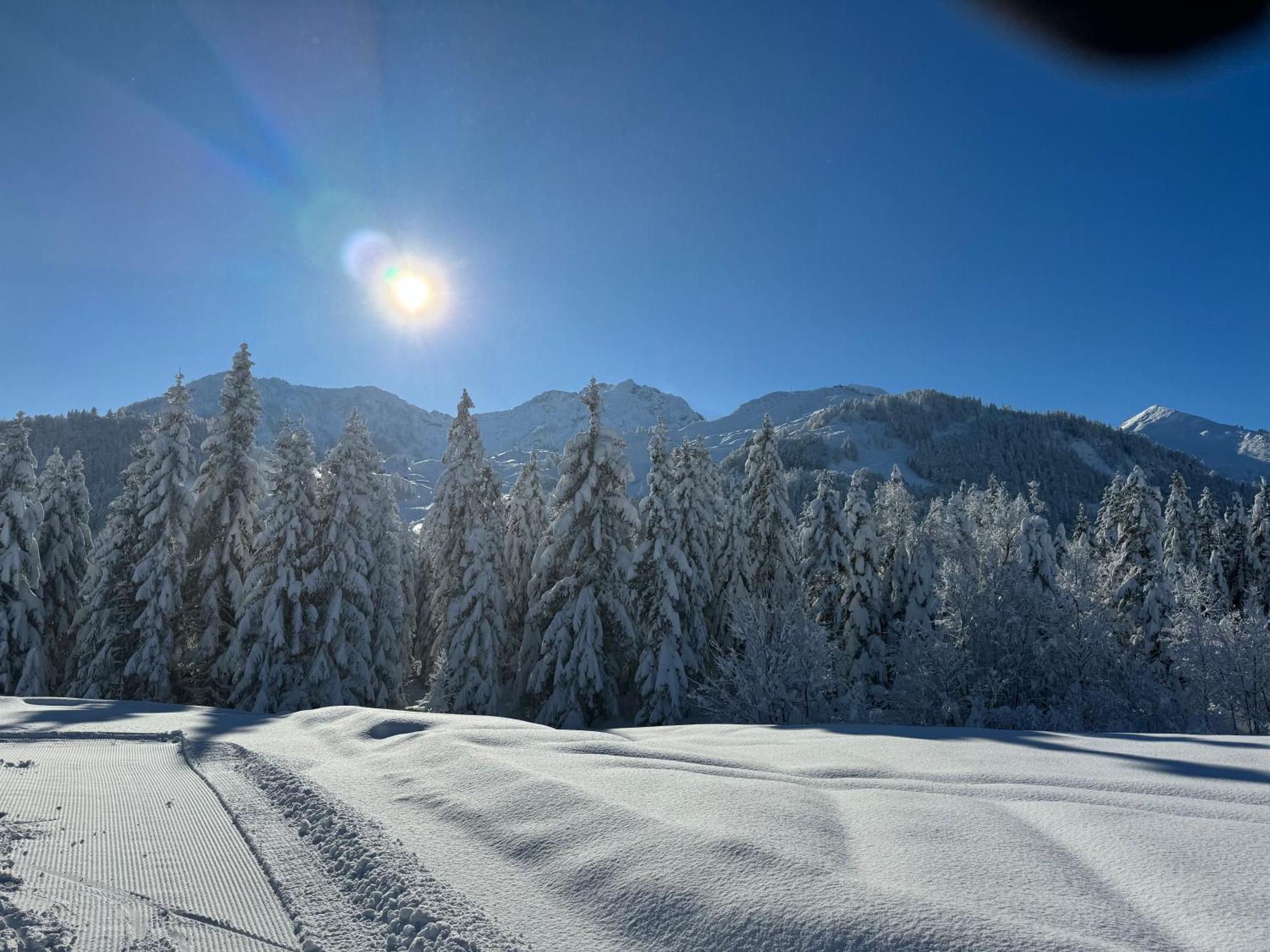 Appartement Erler Sankt Johann in Tirol Exterior foto